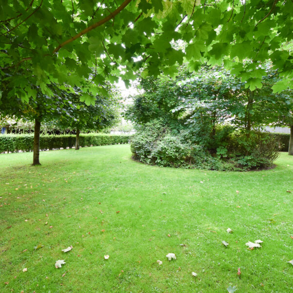 Dannebrogsgade 36, 1.sal