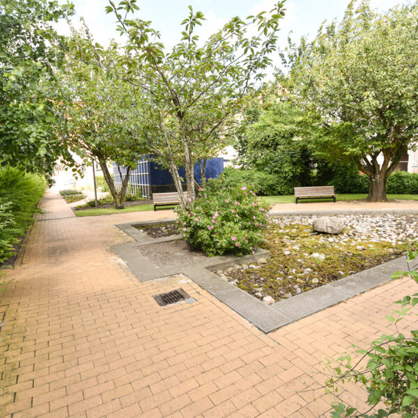 Dannebrogsgade 36, st